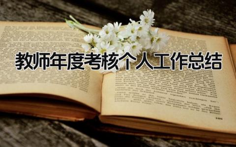 2024教师年度考核个人工作总结精选10篇