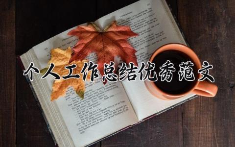 2024最新个人工作总结优秀范文(20篇）