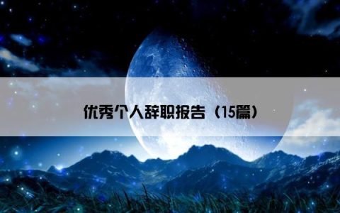 优秀个人辞职报告（15篇）