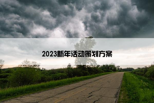 2023新年活动策划方案