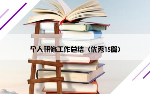 个人研修工作总结（优秀15篇）