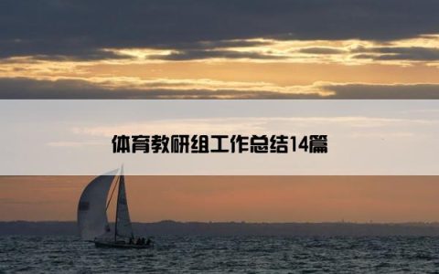 体育教研组工作总结14篇