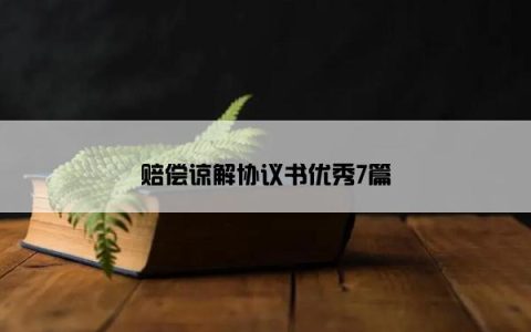 赔偿谅解协议书优秀7篇