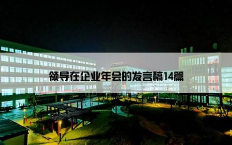 领导在企业年会的发言稿14篇