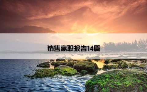 销售离职报告14篇