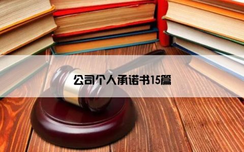 公司个人承诺书15篇