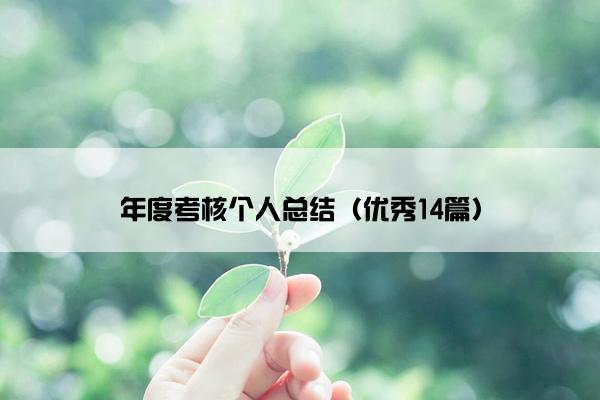 年度考核个人总结（优秀14篇）