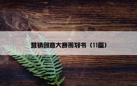 营销创意大赛策划书（11篇）