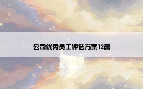 公司优秀员工评选方案12篇