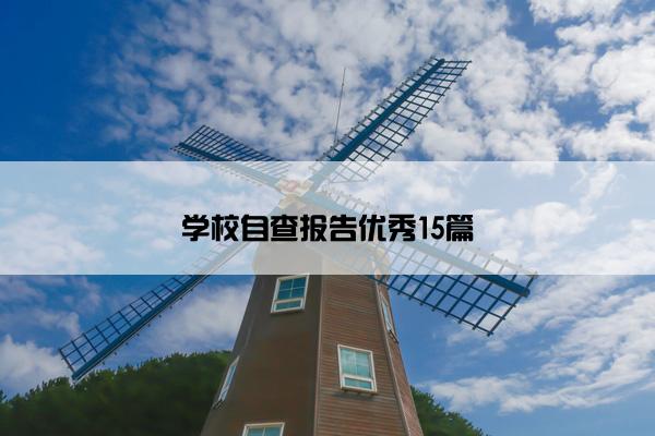 学校自查报告优秀15篇