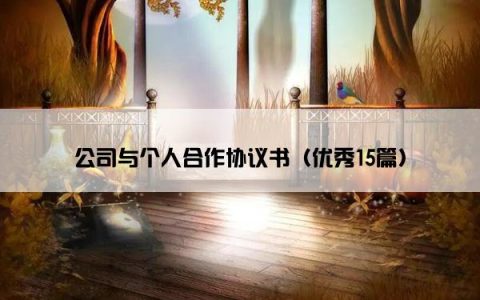 公司与个人合作协议书（优秀15篇）