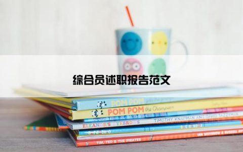 综合员述职报告范文