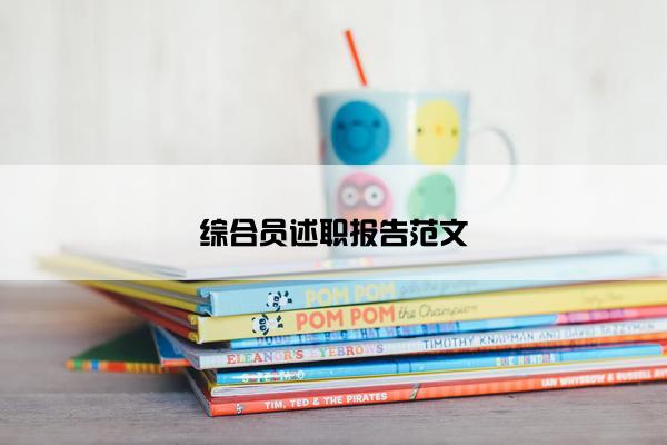 综合员述职报告范文