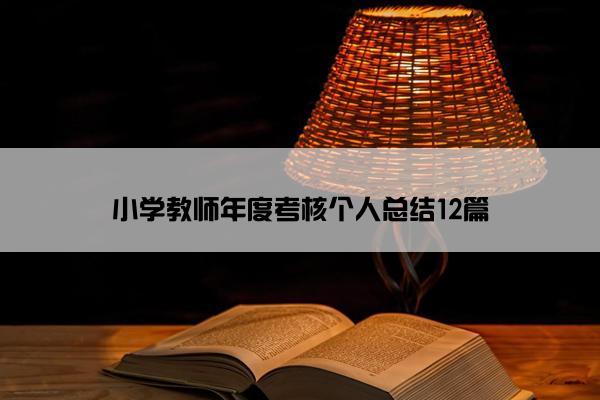 小学教师年度考核个人总结12篇