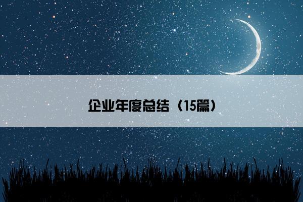 企业年度总结（15篇）