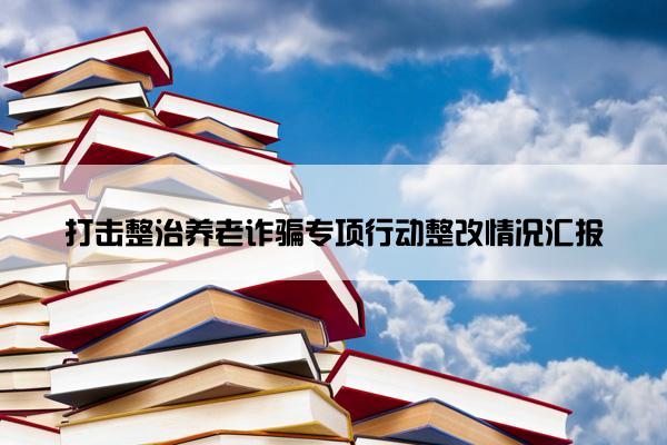 打击整治养老诈骗专项行动整改情况汇报