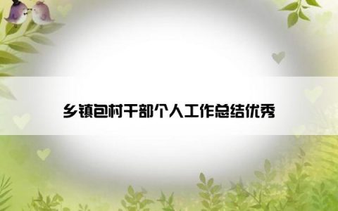 乡镇包村干部个人工作总结优秀