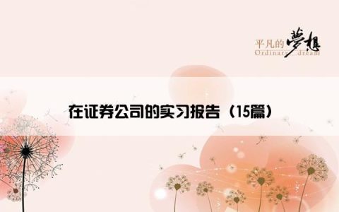 在证券公司的实习报告（15篇）