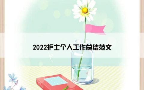 2022护士个人工作总结范文