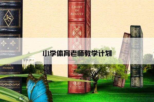 小学体育老师教学计划