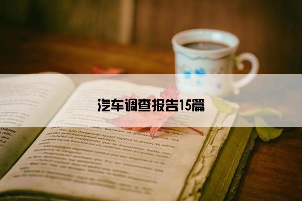 汽车调查报告15篇