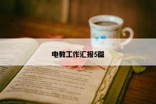 电教工作汇报5篇