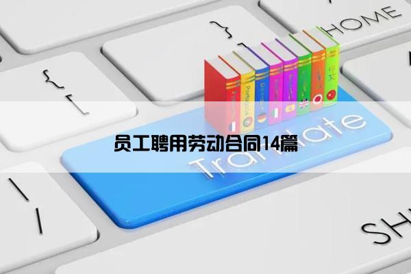 员工聘用劳动合同14篇