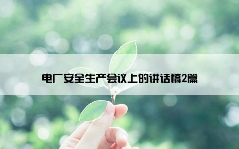 电厂安全生产会议上的讲话稿2篇
