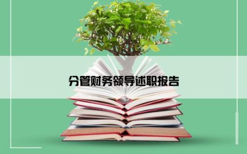 分管财务领导述职报告