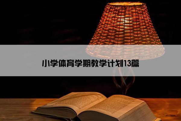 小学体育学期教学计划13篇