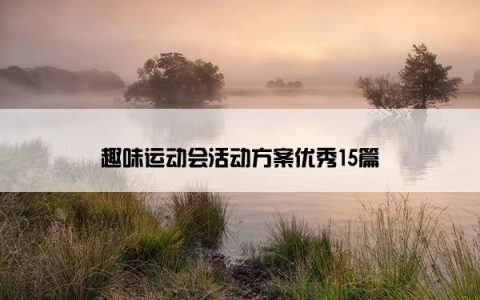 趣味运动会活动方案优秀15篇