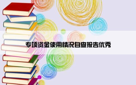 专项资金使用情况自查报告优秀