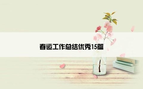 春运工作总结优秀15篇