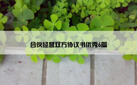 合伙经营双方协议书优秀6篇