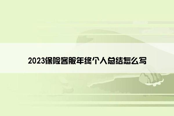 2023保险客服年终个人总结怎么写