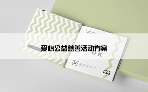 爱心公益慈善活动方案