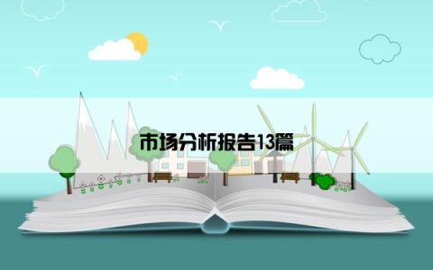 市场分析报告13篇