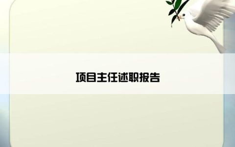 项目主任述职报告