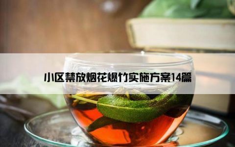 小区禁放烟花爆竹实施方案14篇