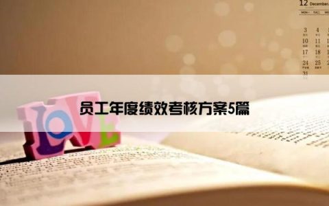员工年度绩效考核方案5篇
