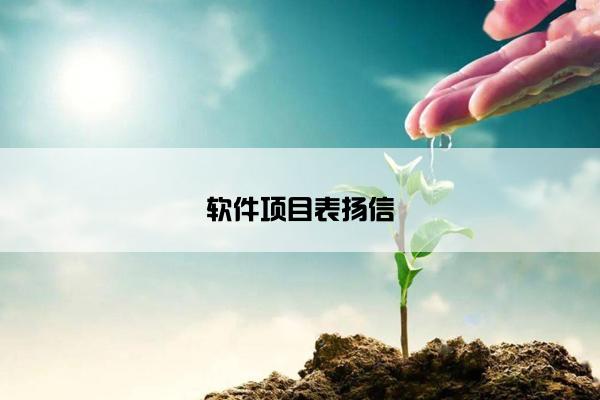 软件项目表扬信