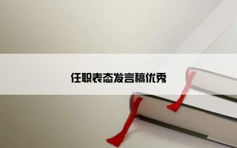 任职表态发言稿优秀