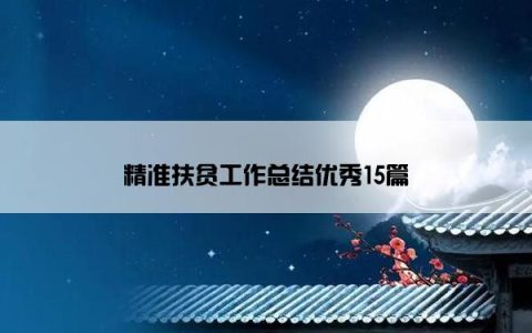 精准扶贫工作总结优秀15篇