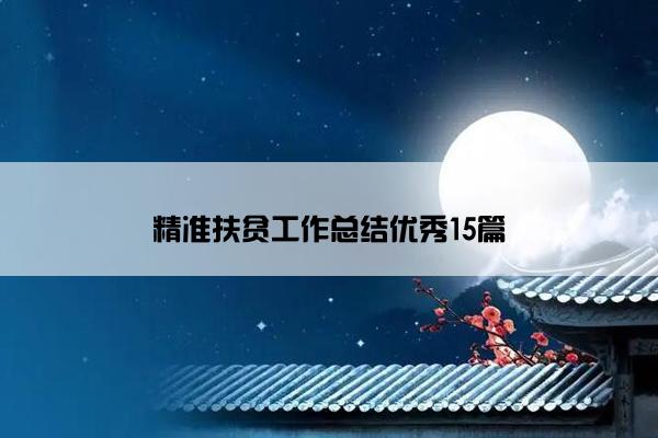 精准扶贫工作总结优秀15篇