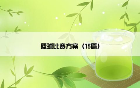 篮球比赛方案（15篇）