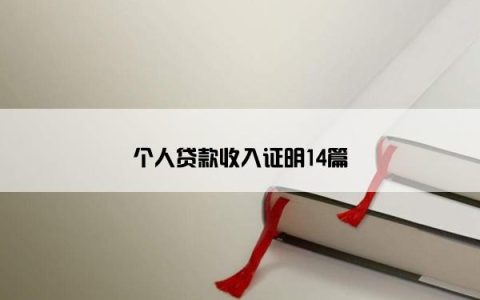 个人贷款收入证明14篇