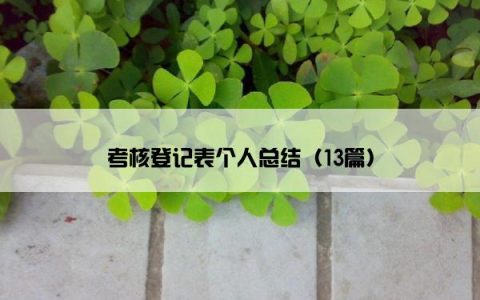 考核登记表个人总结（13篇）