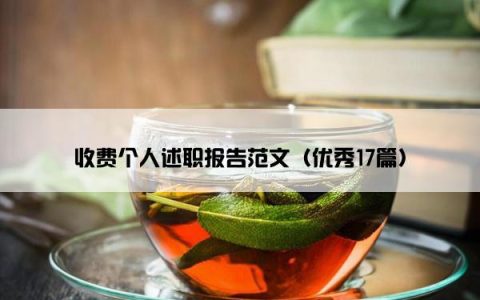 收费个人述职报告范文（优秀17篇）