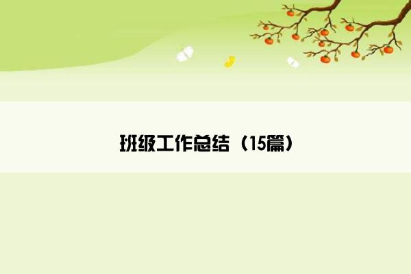 班级工作总结（15篇）