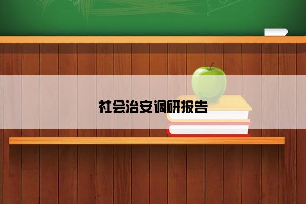 社会治安调研报告